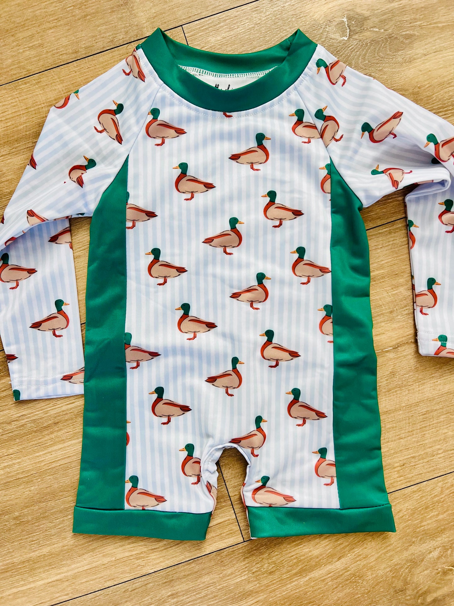 Mallard swim